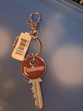 GANZ Silver Tone Keyring with White Tag and Metal Accent